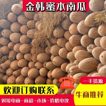 【视频看货】金韩蜜本南瓜支持预定价格实惠品质保证
