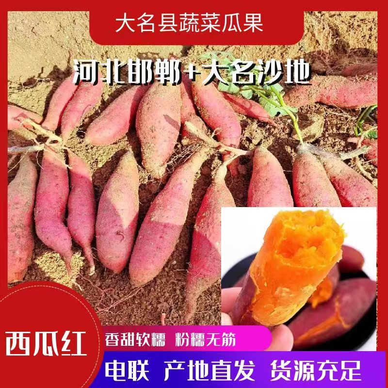 【推荐】河北省大名县沙土地西瓜红红薯批发，电商货都有