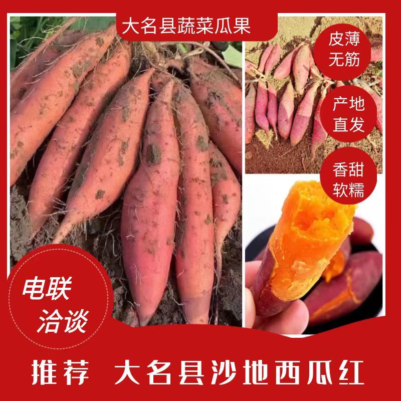 【推荐】河北大名沙土地红薯龙薯龙薯9基地直供批发零售，电商