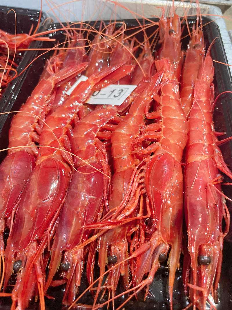 【视频看货】广西对虾北海红魔虾产地直发全国市场欢迎订购
