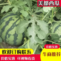 无籽美都西瓜，农户种植，货源充足，供货稳定，可视频