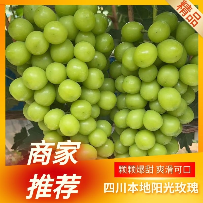 大凉山阳光玫瑰精品【葡萄】个头均匀包熟包甜质优价廉