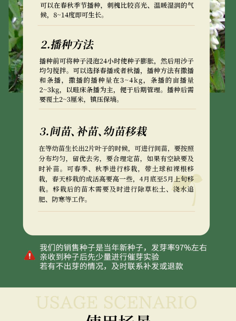 刺槐种子护坡灌木紫穗槐多花木兰胡枝子葛藤荒山复绿护坡固土