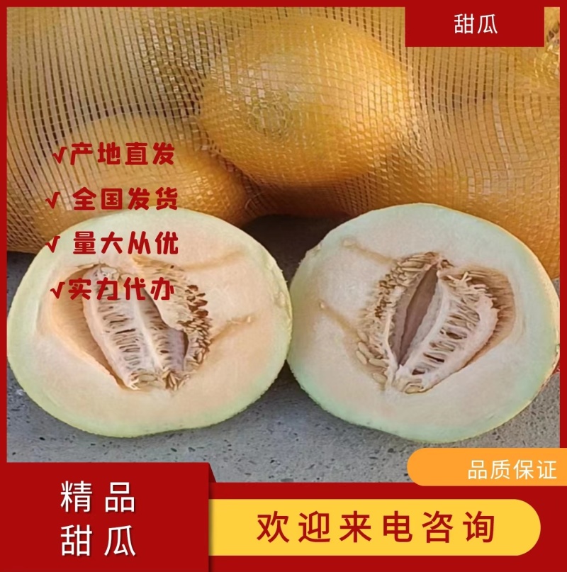 精品甜瓜大量上市货源充足量大从优欢迎咨询