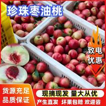 【陕西珍珠枣油桃】大量供应品质保证可视频欢迎咨询