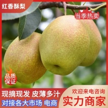 【陕西红香酥梨】脆甜多汁现摘现发品质保证对接全国