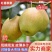 【陕西红香酥梨】脆甜多汁现摘现发品质保证对接全国