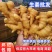 【山东小黄姜代】山东生姜产地直发可视频看货品质保证