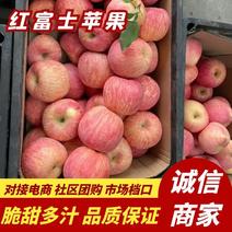 山东红富士苹果脆甜多汁大量供应可视频欢迎咨询