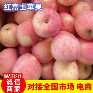 【苹果】山东红富士苹果皮薄多汁产地直发对接各大市场