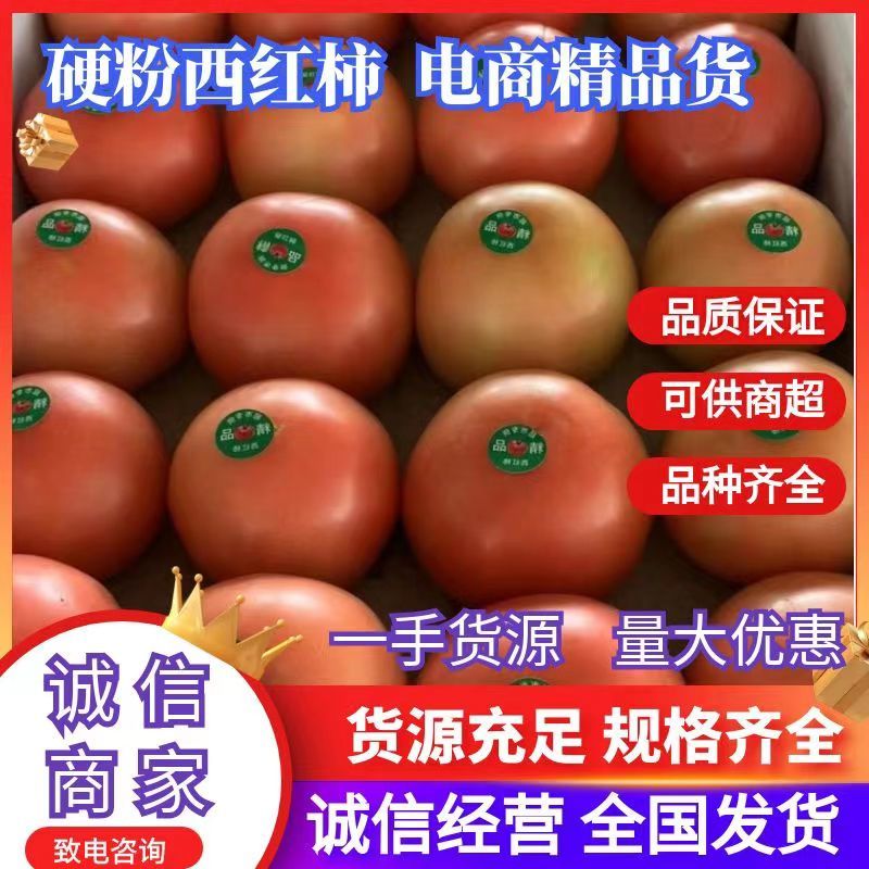 山东费县硬粉西红柿多多买菜美团等各大电商平台
