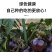 黑色小番茄苗甜度高好吃产量高