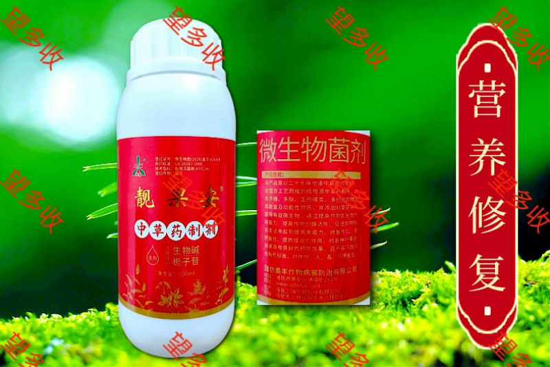 奥丰靓果安防柑橘溃疡病角斑病穿孔病炭疽防病增产提品质
