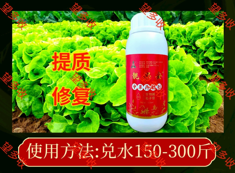 奥丰靓果安防柑橘溃疡病角斑病穿孔病炭疽防病增产提品质