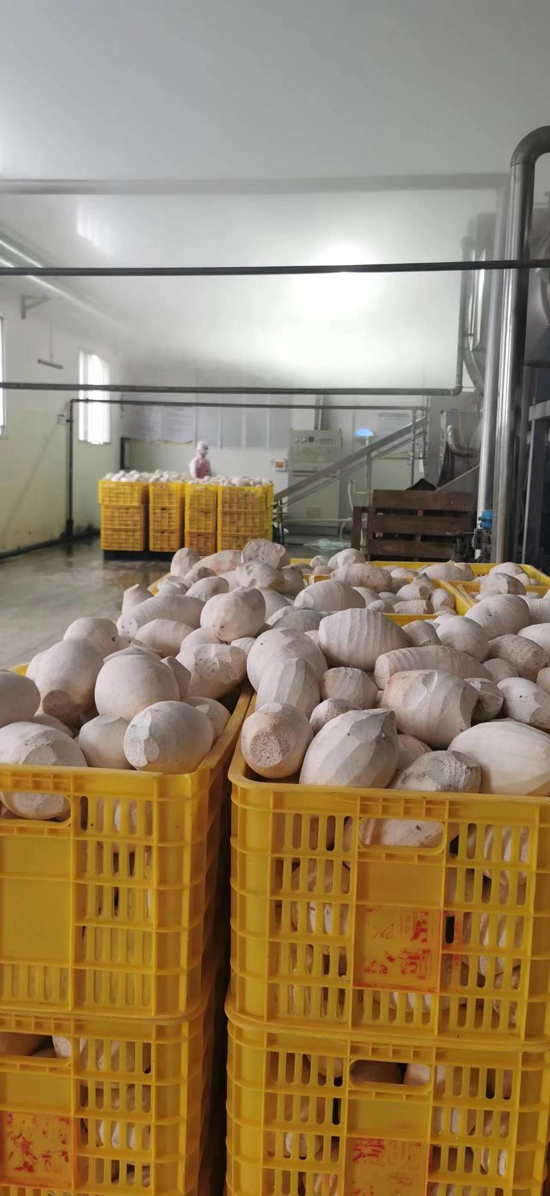 广西荔浦芋头块鲜货冻货工厂直供视频对接电商商场市场