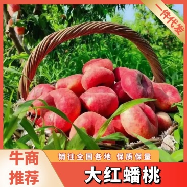 【一件代发】北京平谷红蟠桃，自家基地新鲜采摘，对接电商！