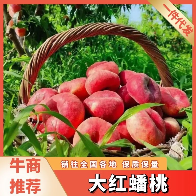 【一件代发】北京平谷红蟠桃，自家基地新鲜采摘，对接电商！