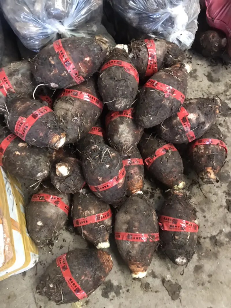 槟榔芋大量供应中产地直发品质保障供应超市电商
