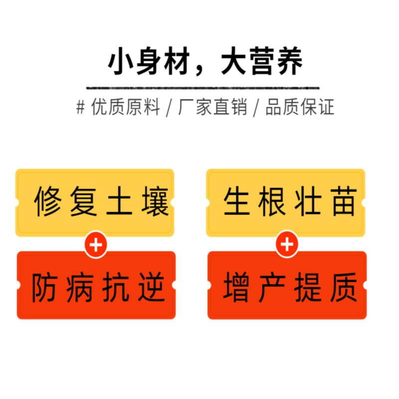 广西肥料厂家含腐植酸20%有机质70%有效活菌2亿