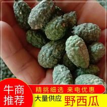 【议价】新疆吐鲁番野西瓜中药材产地发货冷背药材市场