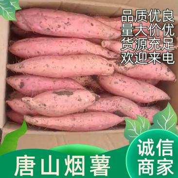 蜜薯烟薯25烤薯店用红皮烟薯可团购批发