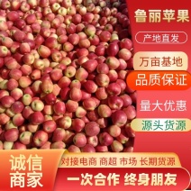 辽宁鲁丽苹果全红高庄口感甜脆大量供应欢迎洽谈合作
