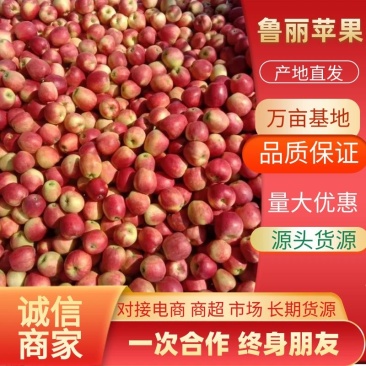 辽宁鲁丽苹果全红高庄口感甜脆大量供应欢迎洽谈合作
