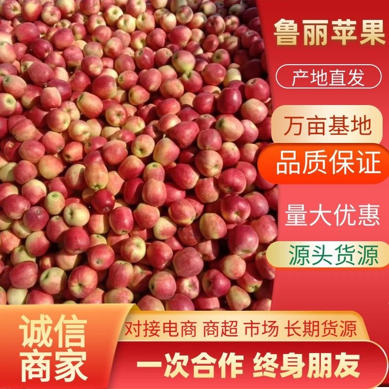辽宁鲁丽苹果全红高庄口感甜脆大量供应欢迎洽谈合作