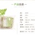 【优选】精品辣木面300g包邮可对接商超市场保质保量欢迎联系