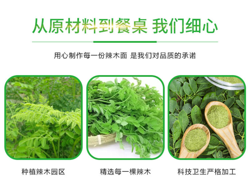 【优选】精品辣木面300g包邮可对接商超市场保质保量欢迎联系