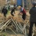 构树基地直供各种规格齐全可视频看货实地考察价格来电详谈