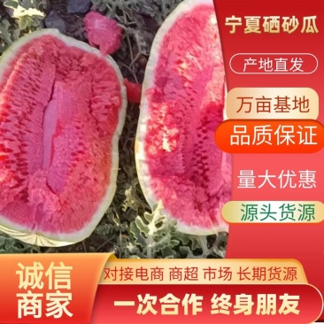 宁夏硒沙瓜，石头瓜产地直发全国代发市场欢迎来电咨询