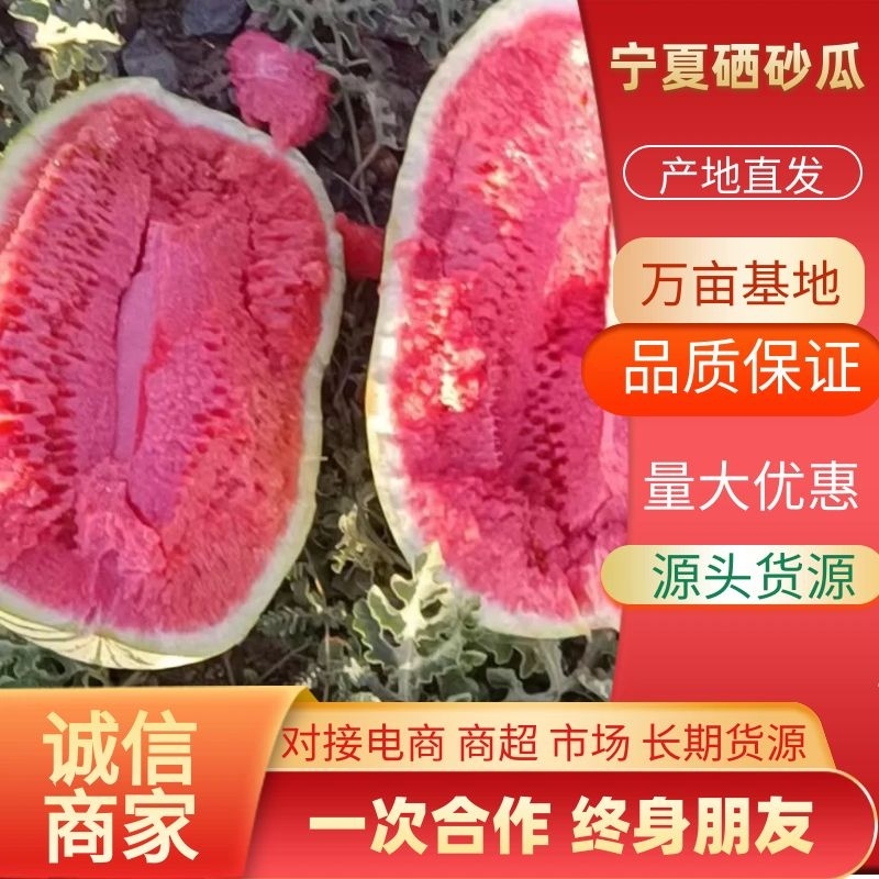 宁夏硒沙瓜，石头瓜产地直发全国代发市场欢迎来电咨询
