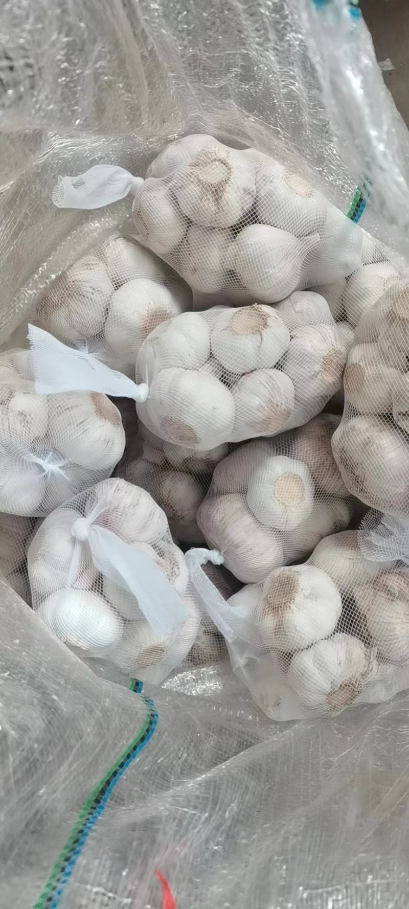 【实力推荐】金乡大蒜紫皮蒜厂家直发可按需加工包装欢迎咨询