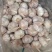 【实力推荐】金乡大蒜紫皮蒜厂家直发可按需加工包装欢迎咨询