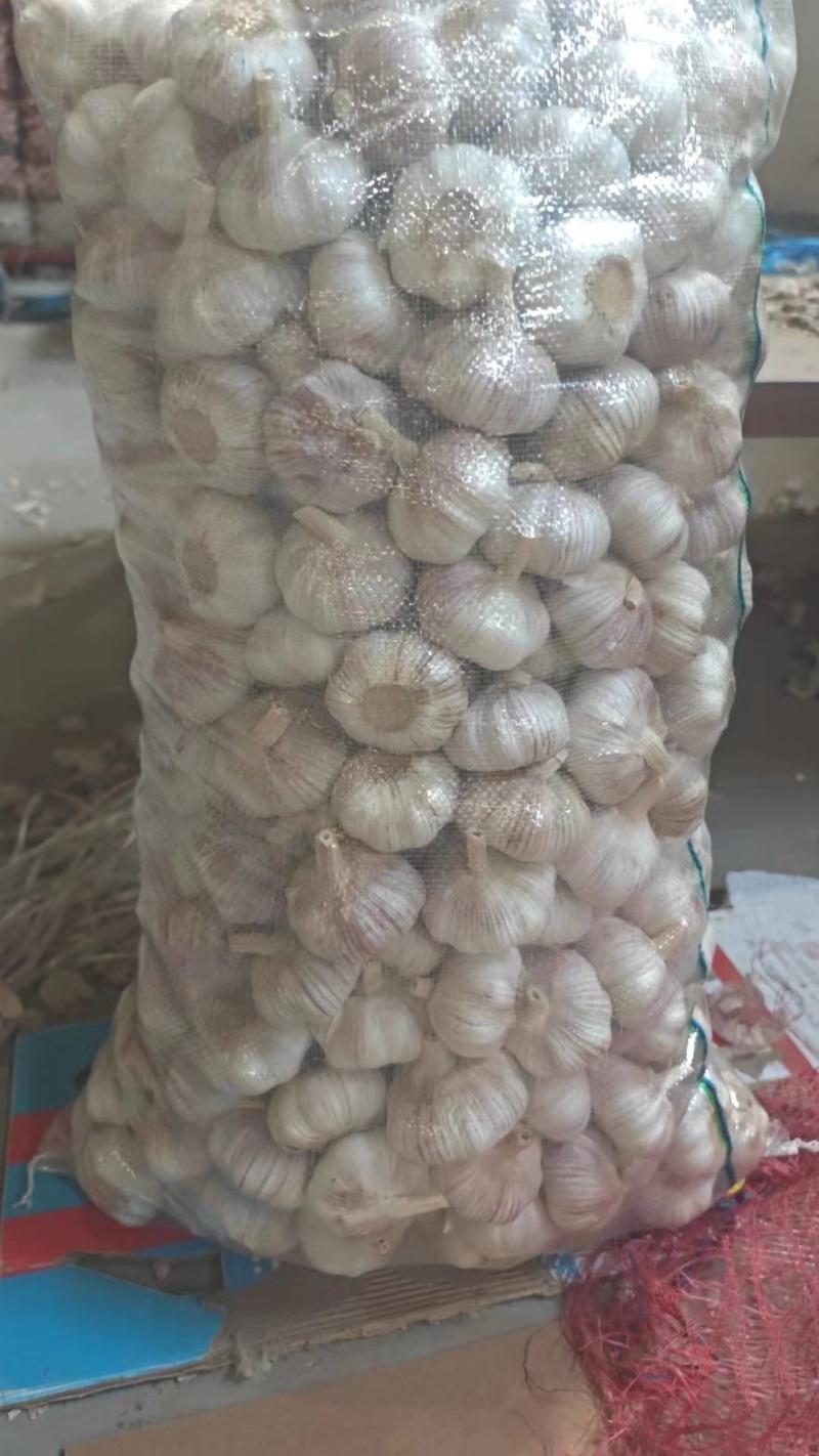 【实力推荐】金乡大蒜紫皮蒜厂家直发可按需加工包装欢迎咨询