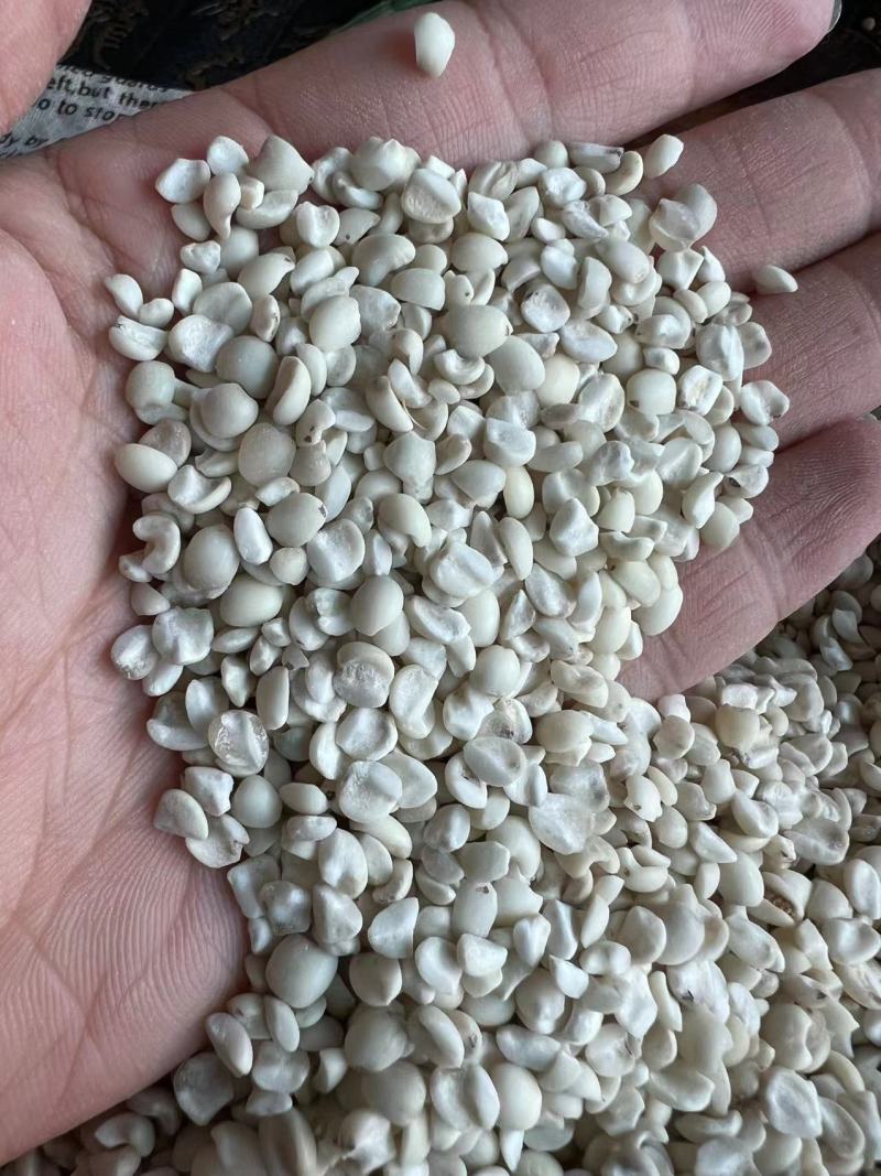 小薏米大薏米红薏米打粉煮粥做食品全国发货