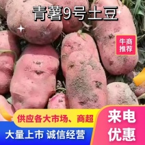 青薯9号土豆货源充足品类齐全量大从优欢迎