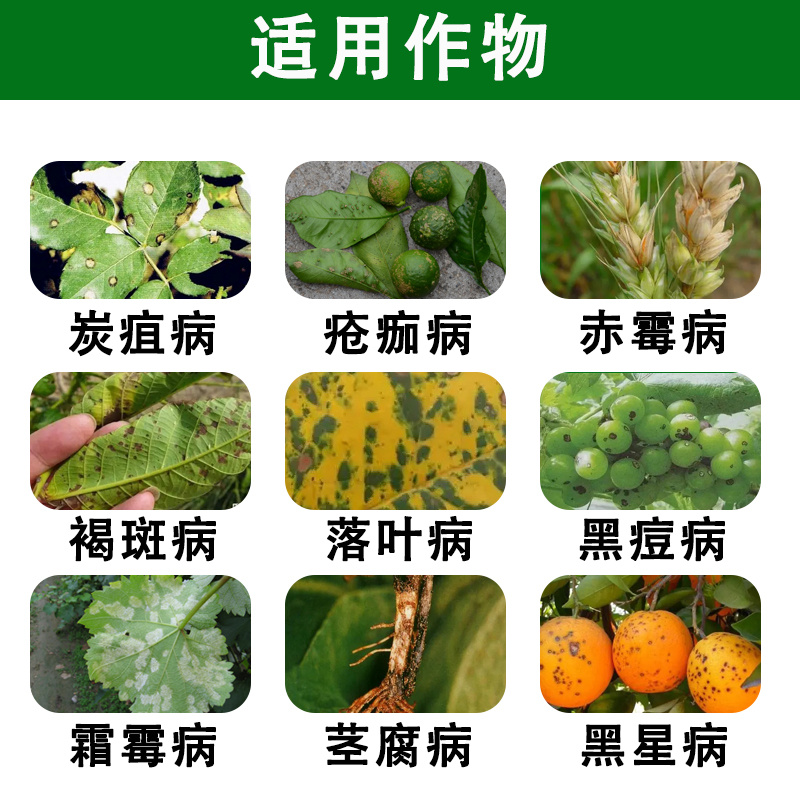 派塔杀菌剂大蒜素炭疽茎腐根腐软腐黄瓜细菌性角斑病三七农药