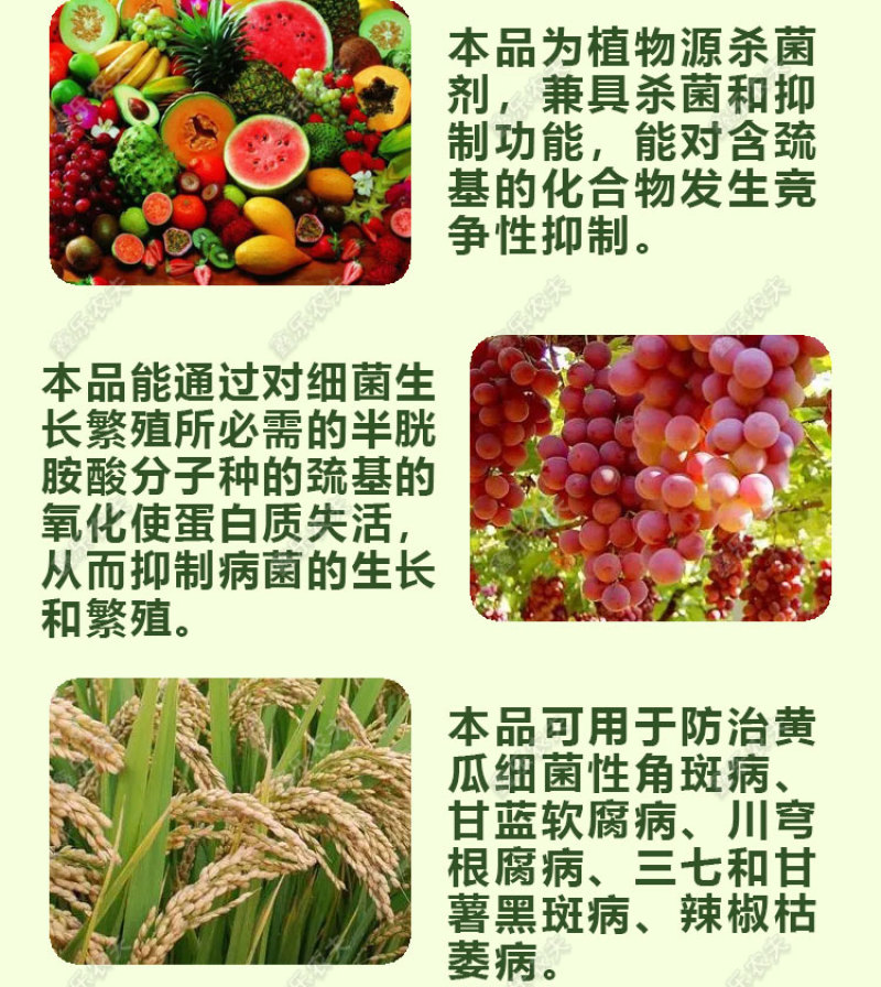 派塔杀菌剂大蒜素炭疽茎腐根腐软腐黄瓜细菌性角斑病三七农药