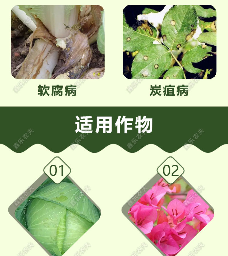 派塔杀菌剂大蒜素炭疽茎腐根腐软腐黄瓜细菌性角斑病三七农药