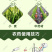 派塔杀菌剂大蒜素炭疽茎腐根腐软腐黄瓜细菌性角斑病三七农药
