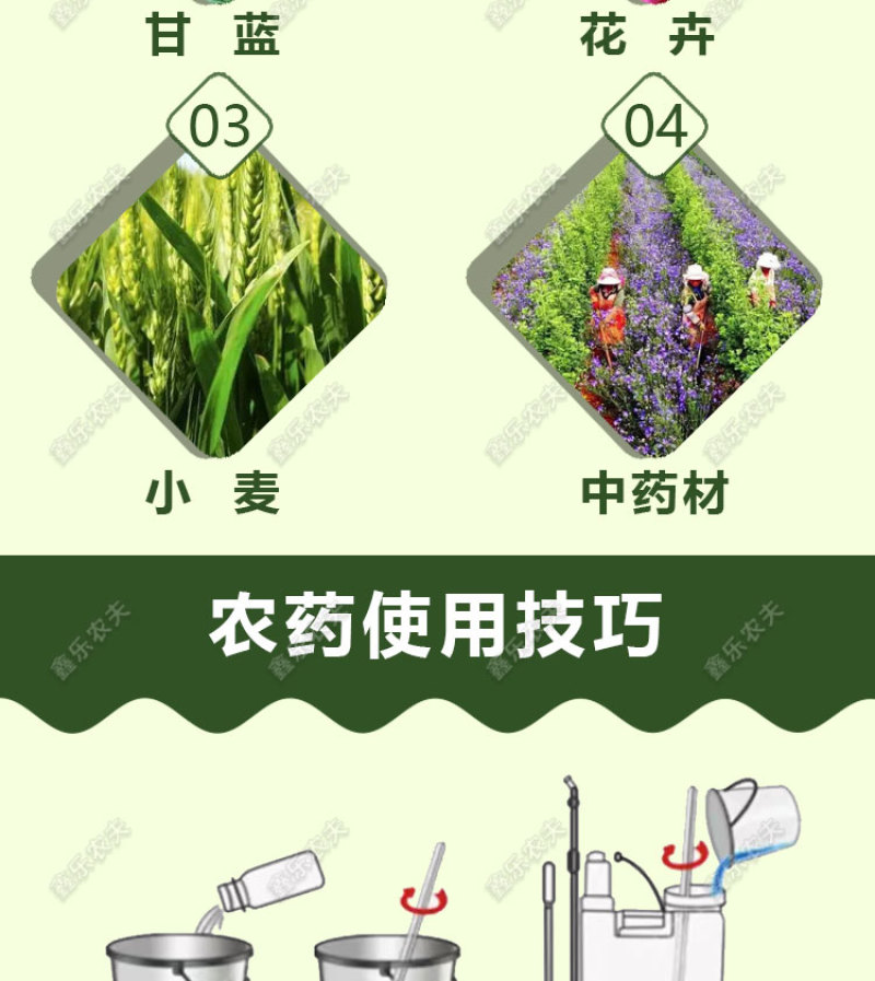 派塔杀菌剂大蒜素炭疽茎腐根腐软腐黄瓜细菌性角斑病三七农药