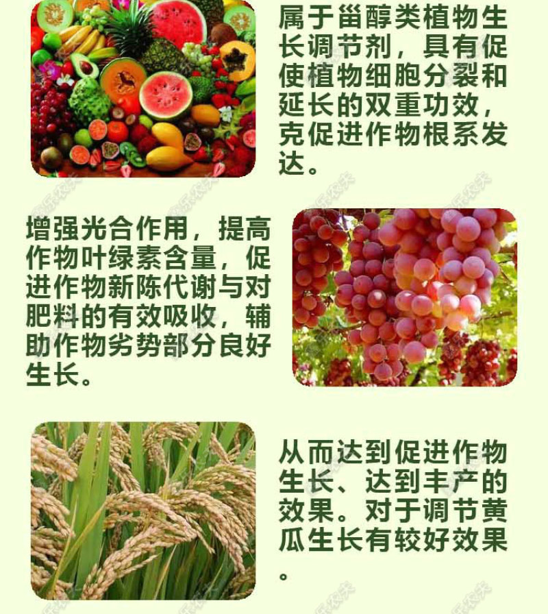 14羟基芸苔素甾醇植物生长调节剂调节生长增产增收保花保果