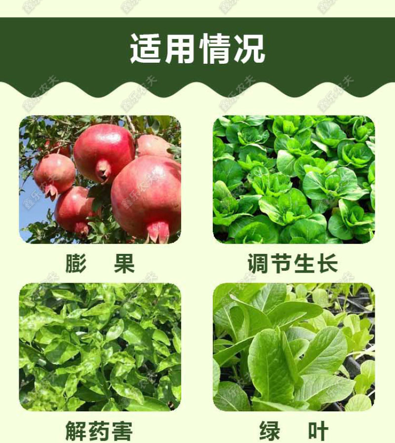 14羟基芸苔素甾醇植物生长调节剂调节生长增产增收保花保果