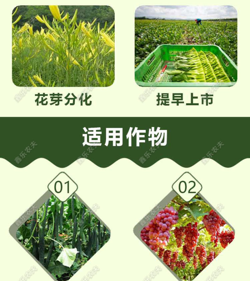 14羟基芸苔素甾醇植物生长调节剂调节生长增产增收保花保果