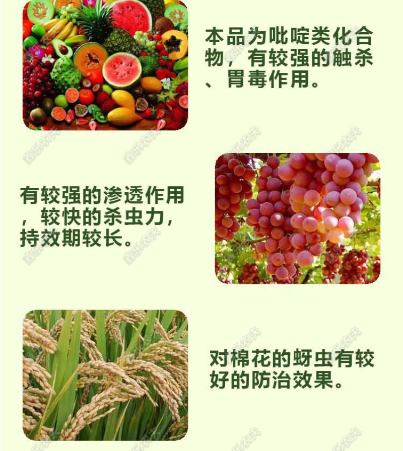 啶虫脒杀虫剂蚜虫飞虱白粉虱薊马刺吸式害虫杀虫剂