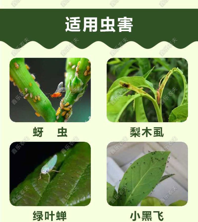啶虫脒杀虫剂蚜虫飞虱白粉虱薊马刺吸式害虫杀虫剂