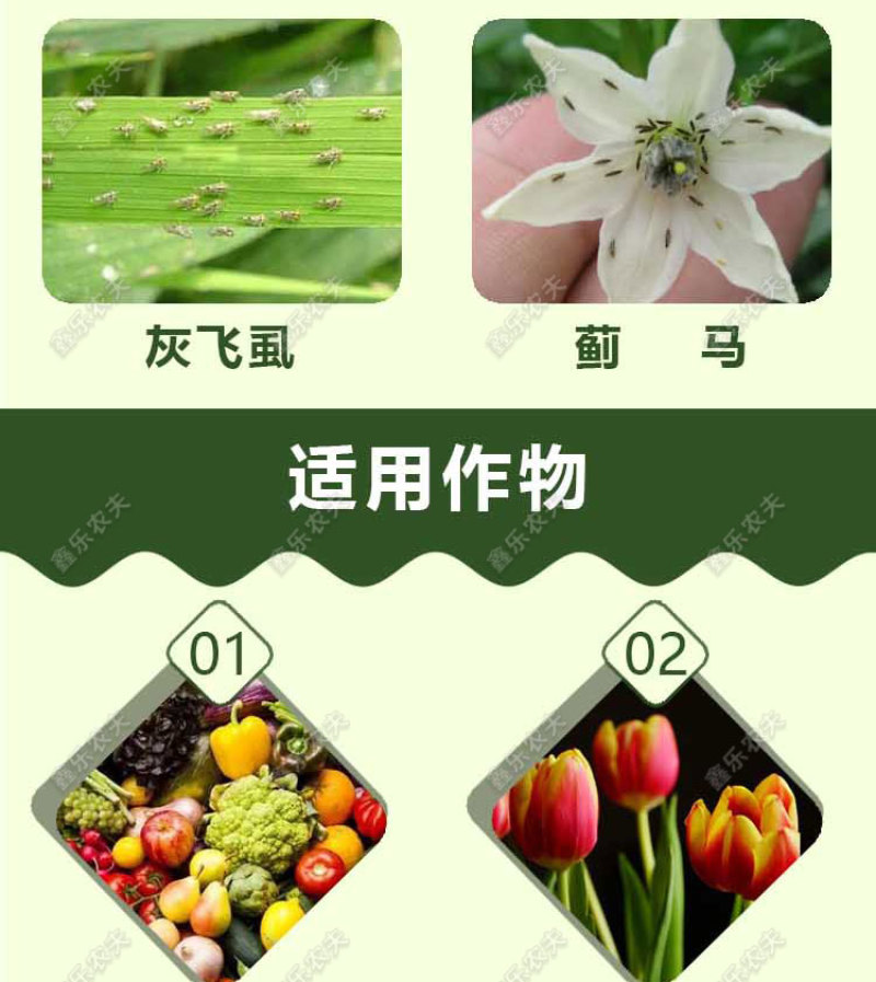 啶虫脒杀虫剂蚜虫飞虱白粉虱薊马刺吸式害虫杀虫剂