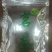 四川雅安【蒙顶山茶】竹叶青蒙顶甘露品质保证欢迎咨询